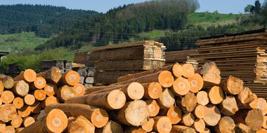 Paper Machinery & Timber Industries